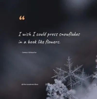 Snowy Quotes, Quotes About Being Unique, Snowfall Quotes, Snowflake Quotes, Snowflake Quote, Cold Weather Quotes, Butterfly Poems, Christmas Eve Quotes, Some Beautiful Quotes