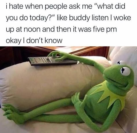 16 Sassy 'Kermit The Frog' Memes We Definitely Didn't Find On 'The Muppets' - Memebase - Funny Memes Kermit The Frog Quotes, Muppets Funny, Funny Kermit Memes, Kermit The Frog Memes, Funny Kermit, Frog Quotes, Kermit Meme, Kermit Memes, Kermit Funny