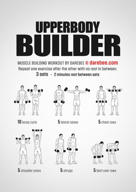 Dumbbell Workout Routine, Dumbbell Workout Plan, Upper Body Dumbbell Workout, Arm Workout Routine, Dumbbell Arm Workout, Dumbbell Workout At Home, Workout Man, Workout Gym Routine, Full Body Dumbbell Workout