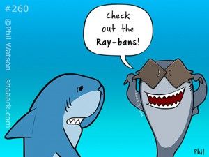 Ray bans... follow us on FB or find us on the web @ eyecarefortcollins.com Shark Jokes, Cartoon Sharks, Optometry Humor, Eye Jokes, Scuba Diving Quotes, Diving Quotes, Sharks Funny, Blue Hole, Shark Week