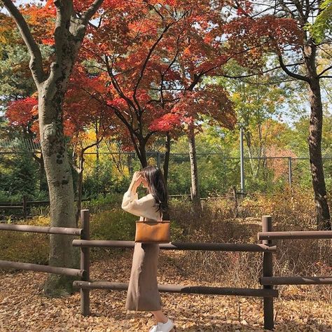 Japanese Autumn Aesthetic, Autumn Walk Aesthetic, Japanese Clothes Aesthetic, Korean Vibes Aesthetic, Soft Korean Aesthetic, Japan Aesthetic Soft, Soft Minimalist Aesthetic, Chill Lifestyle, Coffee Tiramisu