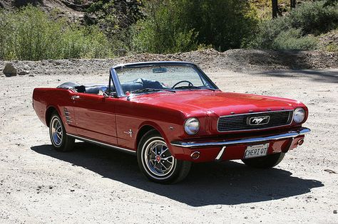 Red '66 Mustang Convertible = <3 Red Ford Mustang Convertible, 1966 Cherry Red Mustang, 1965 Ford Mustang Convertible Red, 1966 Ford Mustang Convertible Cherry Red, Cherry Red Convertible, Cherry Red Mustang, Red Ford Mustang, Red Convertible, Red Mustang