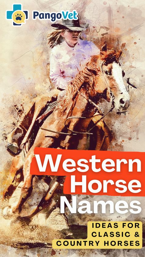 We have both modern and timeless options among our list of female and male names, cowboy and cowgirl ideas, old west options, and of course, famous western horses. Western Horse Names List, Horse Names Ideas, Western Horse Names, Horse Name Ideas, Buckskin Horses, Country Horses, Western Names, Male Names, Male Horse