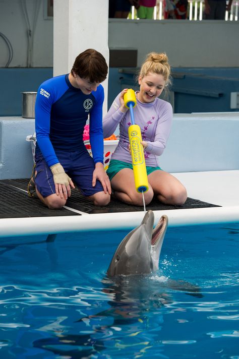 Cozi Zuehlsdorff, Nathan Gamble, Dolphin Tale 2, Sarah Carpenter, Clearwater Marine Aquarium, Dolphin Photos, Dolphin Tale, Dolphin Tail, The Wombats