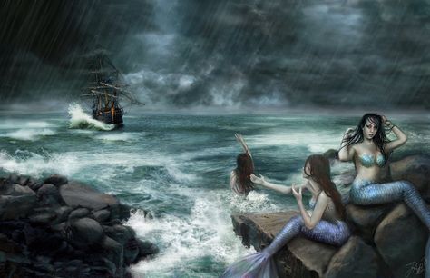 Sirens on the Rocks by ~ReddEra Mythical Creature Design, Mythological Monsters, Oil Painting Pictures, Fantasy Mermaids, Siren Mermaid, Fantasy Mermaid, Fantasy Rooms, Mermaid Art, A Mermaid