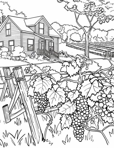 A Lush Vineyard On A Farm With Workers Harvesting Winery Drawing, Vineyard Art, Wood Relief, Grape Harvest, 2024 Board, Relief Carving, Grape Harvesting, Coloring Supplies, Power Colors