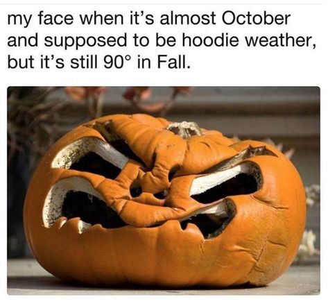 12 Fall Memes For The Weirdos Who Hate Summer - Memebase - Funny Memes Funny Halloween Memes, Halloween Meme, Weather Memes, Hate Summer, Funny Weather, Spooky Memes, Hoodie Weather, Fall Memes, Halloween Memes