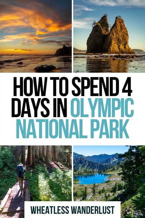 Seattle National Parks, Things To Do In Olympic National Park, Olympic National Park 3 Day Itinerary, Olympic National Park With Kids, Olympic State Park, Olympia National Park Washington, 2 Day Olympic National Park Itinerary, Olympic Park Washington, Olympic National Park Road Trip