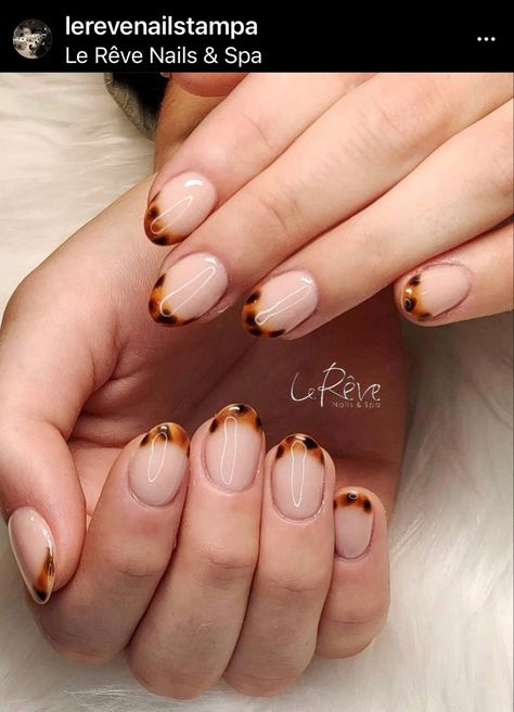 Tortoise Shell Nails French Tip Short, Tortoise Shell Nail Tips, Fall French Manicure Ideas, Tortoise Shell Nails French Tip, Tortoise Shell French Tip Nails, Tortoise French Tip Nails, Colour French Tip, Modern French Manicure Trends, Fall French Manicure