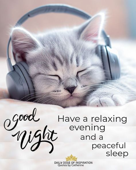 Relaxing Evening Quotes, Peaceful Sleep Quotes, Have A Peaceful Evening, Sleep Better Quotes, Inspirational Cat Quotes, Good Night Meme, Sweet Good Night Messages, Goodnight Messages, Goodnight Quotes Inspirational