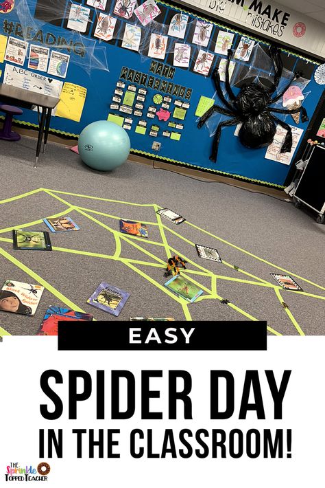 Spider Classroom Transformation, Spider Math Activities, Spider Life Cycle, Classroom Transformation Ideas, Parts Of A Spider, Spider Lessons, Spider Facts, Elementary Reading Activities, Second Grade Classroom