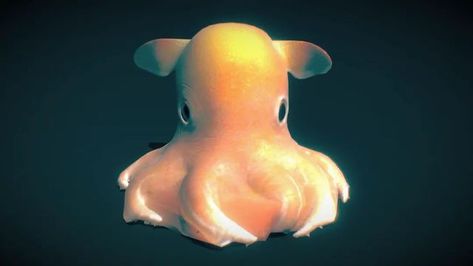 Dumbo Squid, Dumbo Octopus, Simple Complex, Bumbo, Funny Times, Animal Facts, Meme Funny, Zoology, Deep Sea