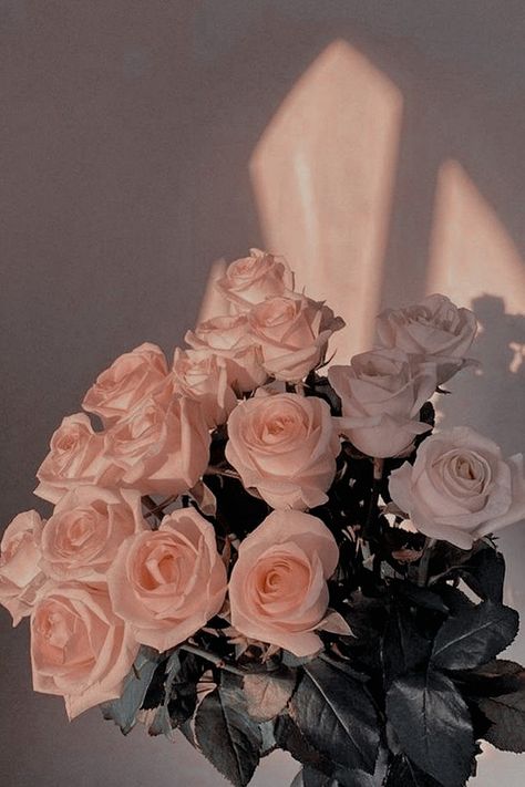 Rose Gold Aesthetic, Aesthetic Roses, Boquette Flowers, Book Flowers, Nothing But Flowers, Flowers Bouquet Gift, Flower Therapy, Beautiful Bouquet Of Flowers, Luxury Flowers