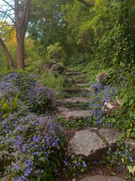 Overgrown Flower Garden, Stone Stairs Garden, Pretty Purple Flowers, Stone Step, Stone Steps, Garden Stairs, Stone Stairs, Garden Steps, Ireland Homes