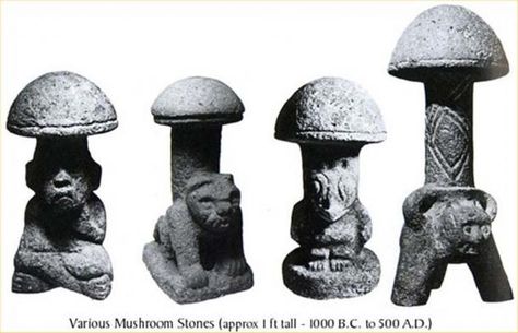 The significance of Guatemalan mushroom stones went undetected until connected with Spanish records of Mexican priests Ancient Origins, Mushroom Art, Adventures In Wonderland, Ancient History, Ancient Art, Archaeology, Stuffed Mushrooms, Neon, Statue