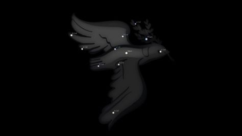 Columba Constellation Columba Constellation, Stars And Constellations, Astrology Pisces, Horoscope Gemini, The Dove, 10 Pm, 3 Pm, 4 Pm, Good Fortune