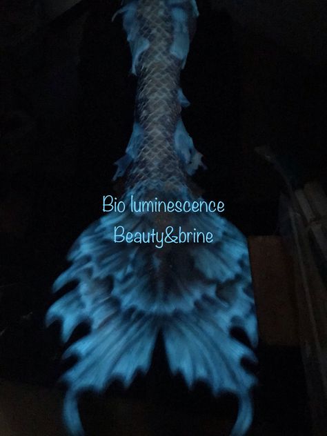 Beauty and Brine mermaid tail Bioluminescent Mermaid Tail, Purple Mermaid Tail Aesthetic, Wednesday Oc, Siren Princess, Mermaid Tail Aesthetic, Black Mermaid Tail, White Mermaid Tail, Mermaid Tail Art, Scary Mermaid