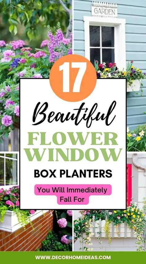 Add a touch of beauty to your windows with these 17 stunning flower window box planters. Perfect for any season, you'll fall in love with these gorgeous planters. Window Box Planters, Planter Boxes Flowers, Box Planters, Raised Garden Beds Diy, Flower Window, Window Planter Boxes, Window Boxes, Window Box, Planter Boxes