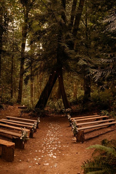 Intimate Wedding In The Woods, Forest Small Wedding, Wedding Aesthetic Nature, Intimate Woodsy Wedding, Black Woodsy Wedding, Wedding Ideas Forest Green, Evergreen Forest Wedding, Woodsy Wedding Aesthetic, Forest Ceremony Wedding