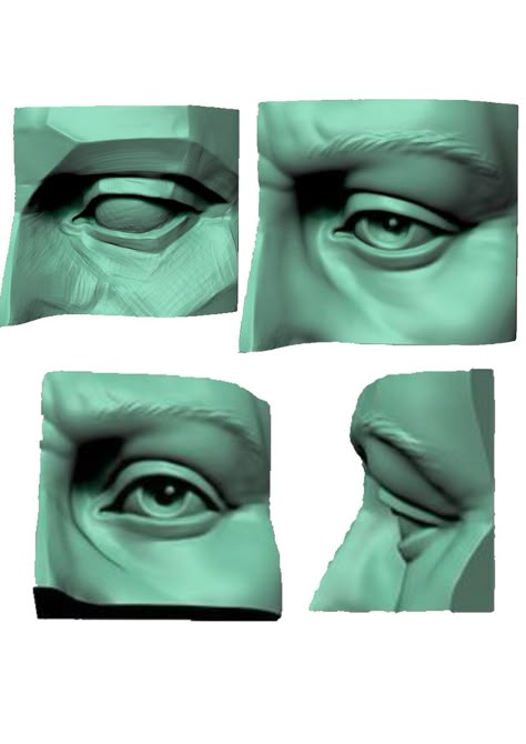 Eye Model Anatomy, Sculpting Eyes, Eye Sculpting, Eye Sculpt, Eyes Anatomy, Anatomy For Sculptors, Zbrush Anatomy, Eye Structure, Head Anatomy