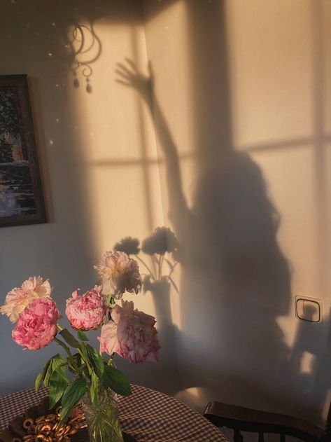 Aesthetic Shadow, Photo Ideas, Presentation, Flowers, Pins, Art