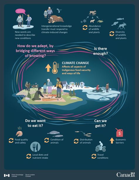 (1) UN Biodiversity on X: "Find out how #ClimateChange affect all aspects of indigenous food security and ways of life with this infographic by @POLARCanada https://t.co/7iWDOrphRX" / X Indigenous Food, Persian Poetry, Travel Route, Food Security, Indigenous Community, Innovation Strategy, Learning Resources, Take Action, Wake Up