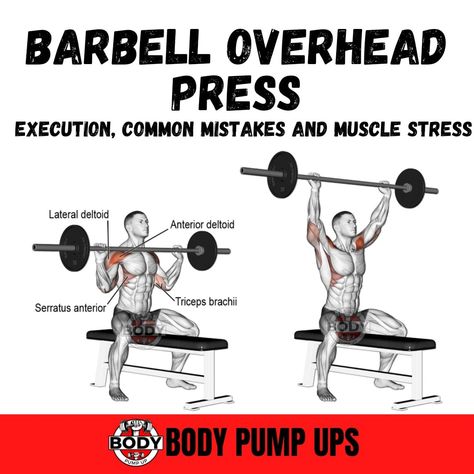 Seated Barbell Overhead Press

𝗦𝗛𝗢𝗨𝗟𝗗𝗘𝗥 𝗪𝗢𝗥𝗞𝗢𝗨𝗧
📍ʙᴏᴏᴋᴍᴀʀᴋ ᴀɴᴅ sᴀᴠᴇ ↗️

▪️ 𝗦𝗲𝘁𝘀: 4
▪️ 𝗥𝗲𝗽𝘀: 8-10
▪️ 𝗥𝗲𝘀𝘁 𝗧𝗶𝗺𝗲: 90 sec

This is one of the best shoulder exercises that you can do at home during your upper body workout

#shoulder #seatedbarbelloverhead #shoulderpump #workoutathome Workout Shoulder, Best Shoulder Workout, Rest Time, Shoulder Exercises, Body Pump, Overhead Press, Shoulder Workout, Upper Body Workout, Body Workout