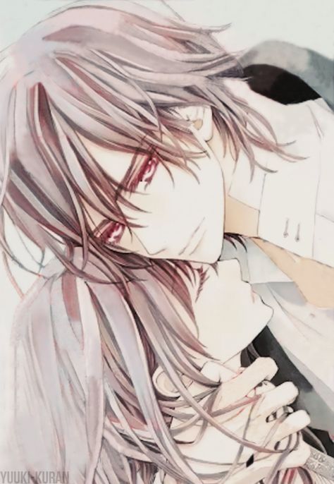 Vampire Knight Art, Kaname X Yuki, Kaname And Yuki, Vampire Knight Memories, Yuki And Kaname, Vampire Knight Zero, Anime Vampire Knight, Vampire Knight Kaname, Vampire Knight Yuki