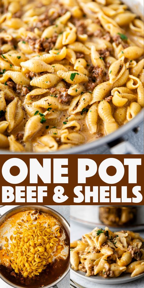 One-Pot Creamy Beef and Shells Meals With Ground Beef And Noodles, Ground Beef And Shells Casserole, Creamy Pasta Shells, Shells Pasta Recipes Beef, Easy Dump Pasta Recipes, Easy Quick Meals With Ground Beef, Easy Creamy Beef And Shells, Ground Beef Shells Recipes, Hamburger And Shells Recipes