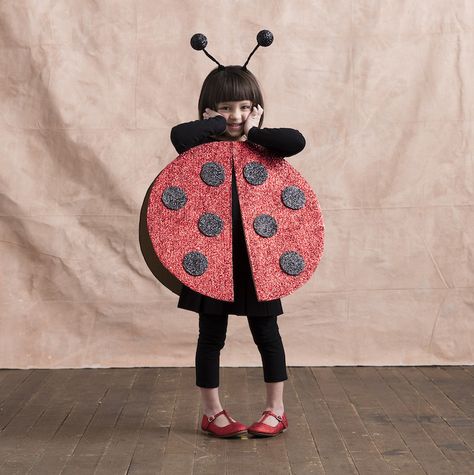 Ladybug Costume Makeup, Diy Ladybug Costume, Diy Ladybug, Affordable Halloween Costumes, Spring Costume, Ladybug Costume, Easy Diy Halloween Decorations, Diy Halloween Costumes For Kids, Halloween Decorations Diy Outdoor