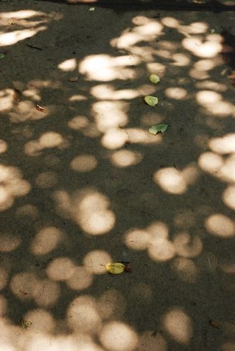 Light And Shadow Photography, Indian City, Shadow Photography, Dappled Light, Arte Inspo, Light Photography, Light And Shadow, Summer Aesthetic, Film Photography