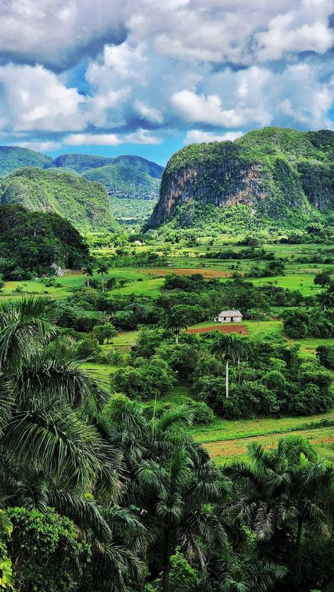 Cuba Vinales, Vinales, Cuba Travel, Nicaragua, Cuba, Vision Board, Around The Worlds, Collage, Travel