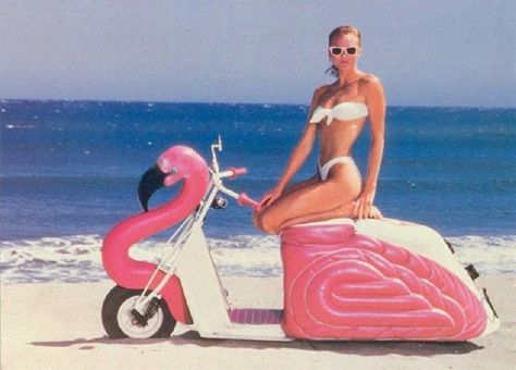 Custom Pink Flamingo Motor Scooter. Pink Scooter, Flamingo Decor, New Retro Wave, Flamingo Art, Surf Lifestyle, Beach Please, Another Love, Miami Vice, Pink Bird