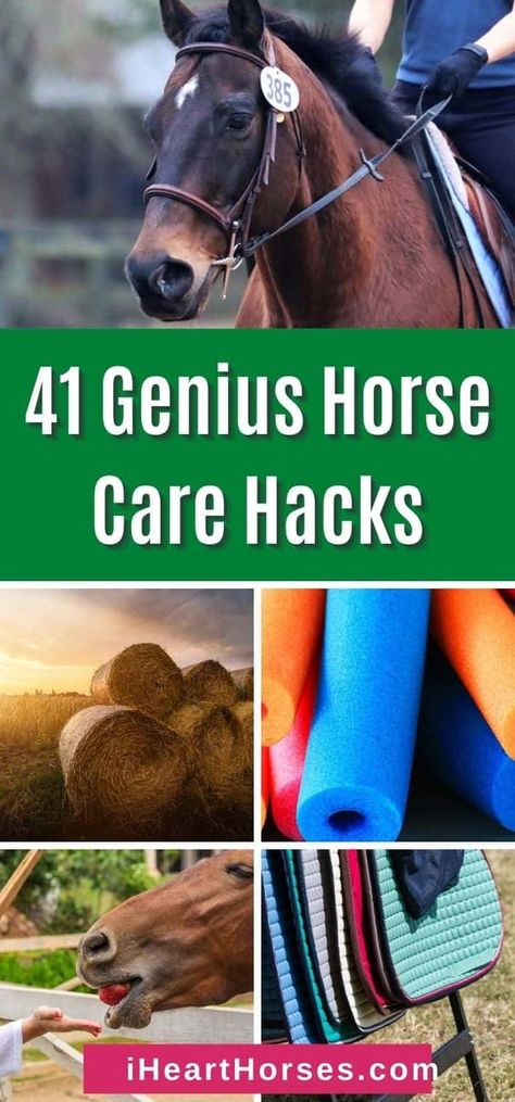 Horse Tack Knowledge, Horse Show Hacks, Barn Hacks Horse, Tack Locker Organization, Diy Horse Stuff, Horse Barn Ideas, Equestrian Diy, Horse Essentials, Horse Blankets Winter