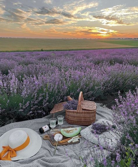 Picnic Date Food, Nature Witch, Picnic Inspiration, Lavender Aesthetic, Lavender Field, Picnic Date, Lavender Farm, Beauty Nature, Canvas Painting Designs