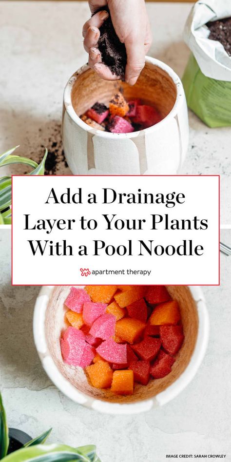 Use a Pool Noodle for Drainage in a Plant Pot Without Holes | Apartment Therapy Rocks In Potted Plants, Diy Yard Projects Awesome Ideas, Planters Without Drainage Holes, How To Plant In Pots Without Drainage Holes, Indoor Plant Drainage Ideas, How To Pot A Plant Without Drainage, Plant Drainage Ideas, Plant Pot Hacks, Pots Without Drainage Holes