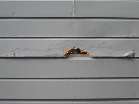 Rotted Wood Repair To Fix Damaged Siding Rotten Wood, Wood Siding Exterior, Siding Repair, Restore Wood, Handyman Projects, Wood Repair, Wood Cladding, Home Fix, Carpentry Diy