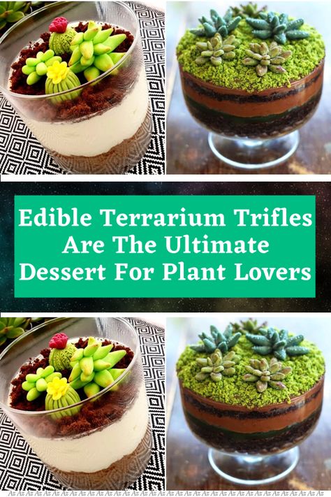 Terrarium Cake Ideas, Edible Terrarium Dessert, Terrarium Cake, Edible Terrarium, Triffle Recipe, Edible Dirt, Terraria Cake, Edible Succulents, Chocolate Layer Dessert