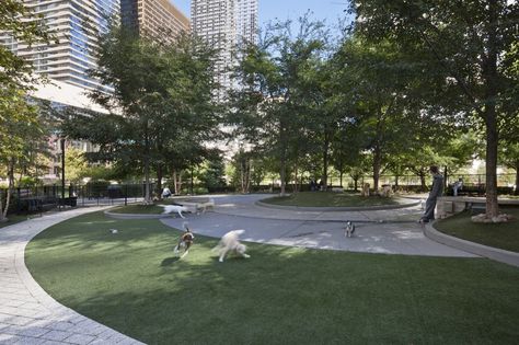 The Park at Lakeshore East Mall Landscape, Pets Hotel, Dog Park Design, Indoor Dog Park, Rescue Pets, Landscape Design Drawings, Pocket Park, Landform, Outdoor Play Areas