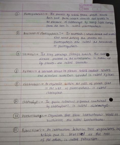 Biology Definition Notes, Plant Nutrition Biology Notes, Nutrition In Plants Class 7 Notes, Nutrition In Plants Class 7, Nutrition In Plants, Plant Notes, Nutrition Science, Easy Love Drawings, Biology Notes