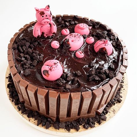 Easy Pig Cake {Fondant Pig Topper} - CakeWhiz Easy Pig Cake, Pig Pen Cake, Pigs Birthday Cake, Pig Cake Ideas, Pigs Cake, Pigs In Mud Cake, Chocolate Cake With Chocolate Frosting, Pig Cakes, Piggy Cake