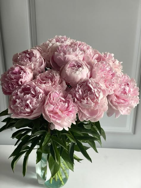 Luxury Flower Bouquets, Pretty Sunset, Nothing But Flowers, Peonies Bouquet, Flower Therapy, Beautiful Bouquet Of Flowers, Beautiful Flower Arrangements, Luxury Flowers, Flowers Pink