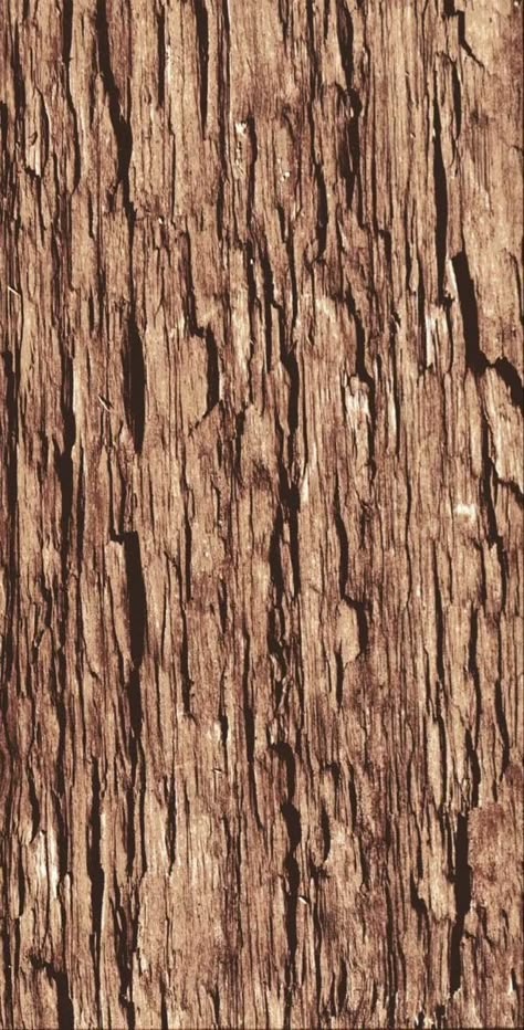 Tree Bark Texture, Cloth Backdrop, Wood Bark, Tree Textures, Photography Backgrounds, Vinyl Backdrops, Material Textures, Printed Backdrops, 3d Texture