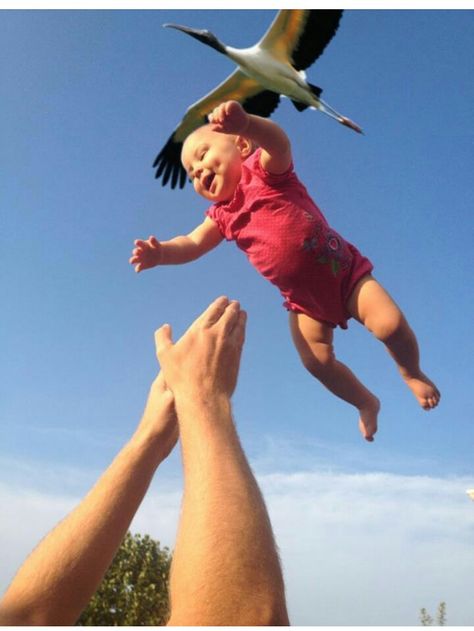 Perfect timing stork dropping off a baby Funny Baby Pictures, Photo Star, Perfectly Timed Photos, Foto Tips, Funny Ha Ha, Clipuri Video, 웃긴 사진, Time Photo, Perfect Timing