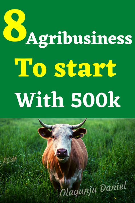 Agriculture business opportunities, How to make money from agriculture, Agriculture business Agribusiness Ideas, Agriculture Business Plan, Catfish Farming, Snail Farming, Poultry Business, Starting A Farm, Agriculture Business, Farming Business, Livestock Farming