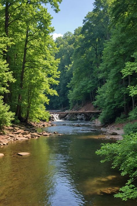 Discover the Charms of Harrison, Arkansas 🌲 Arkansas Hikes, Buffalo River Arkansas, Arkansas Nature, Ozarks Arkansas, Jasper Arkansas, Harrison Arkansas, Arkansas Waterfalls, Missouri Vacation, Arkansas Travel