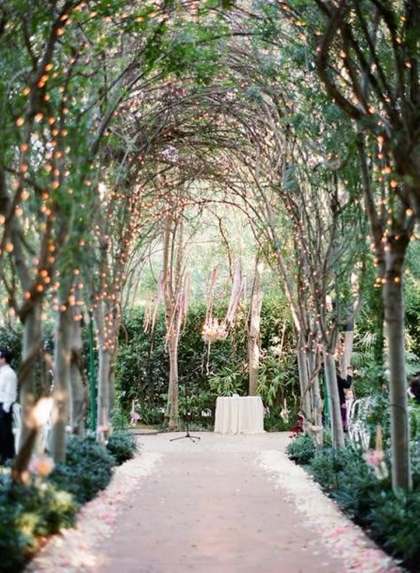 the unique arching trees make it look like you are going through a tunnel of enchantment Funny Vine, Night Time Wedding, Whimsical Wedding Decorations, Rustic Wedding Decorations, Wedding Ceremony Ideas, Romantic Garden Wedding, Salou, Romantic Garden, Mod Wedding