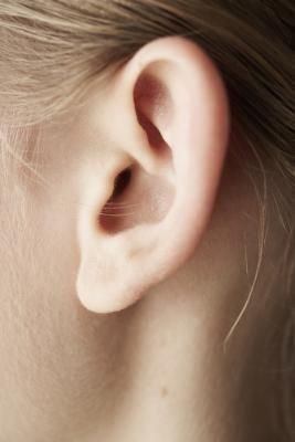 Tinnitus is Worse After Eating [Article] Industrial Piercings, Swimmers Ear, Outer Ear, Types Of Ear Piercings, Ear Canal, Ear Drops, Industrial Piercing, Tattoo Removal, The Ear