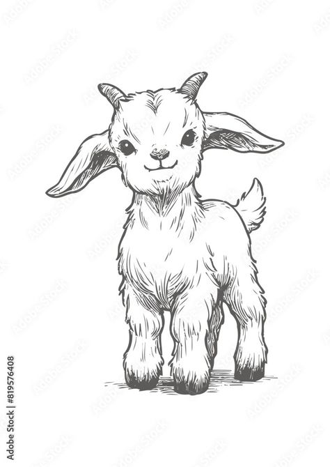 goat Vector, baby goat vector illustration, goat emblem design, baby goat vector Stock Vector | Adobe Stock Goat Woman Art, Cute Goat Illustration, How To Draw A Goat, Billy Goat Tattoo, Goat Illustration Cute, Goat Drawing Sketch, Baby Goat Tattoo, Baby Goat Drawing, Mountain Goat Drawing