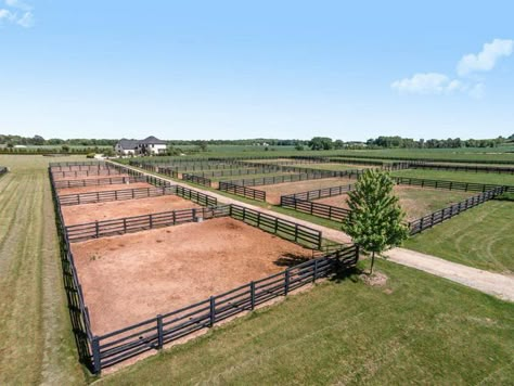 Horse Farm Layout, Cattle Facility, Equine Stables, Stable Yard, Horse Shed, Horse Pens, Livestock Barn, Horse Farm Ideas, Horse Paddock